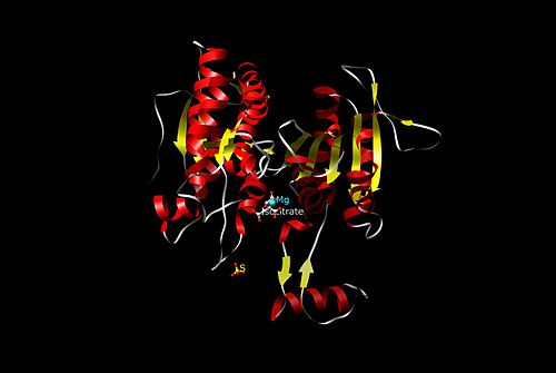 Isocitrate dehydrogenase